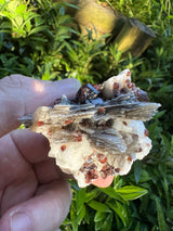 Garnet on Star Mica Specimen - 101g