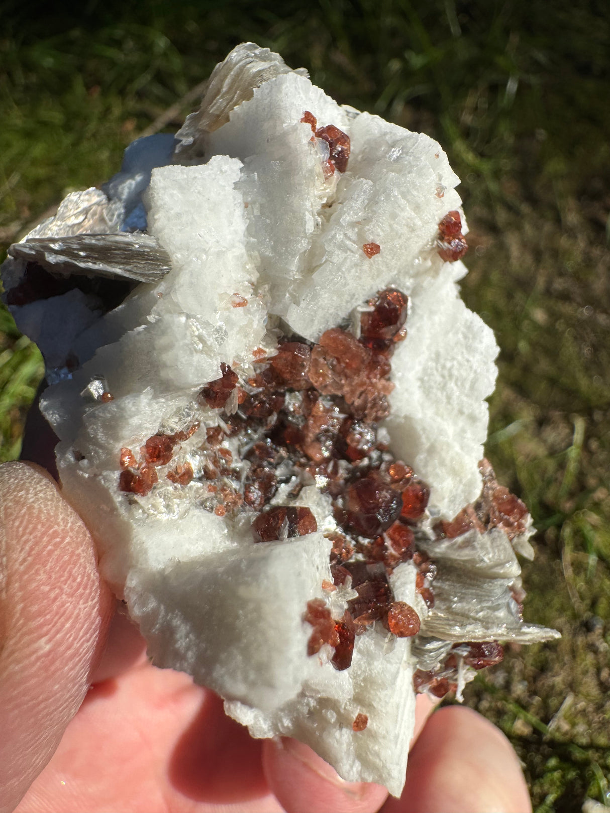 Garnet on Star Mica Specimen - 82g