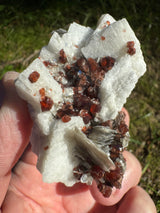 Garnet on Star Mica Specimen - 82g