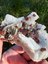 Garnet on Star Mica Specimen - 82g