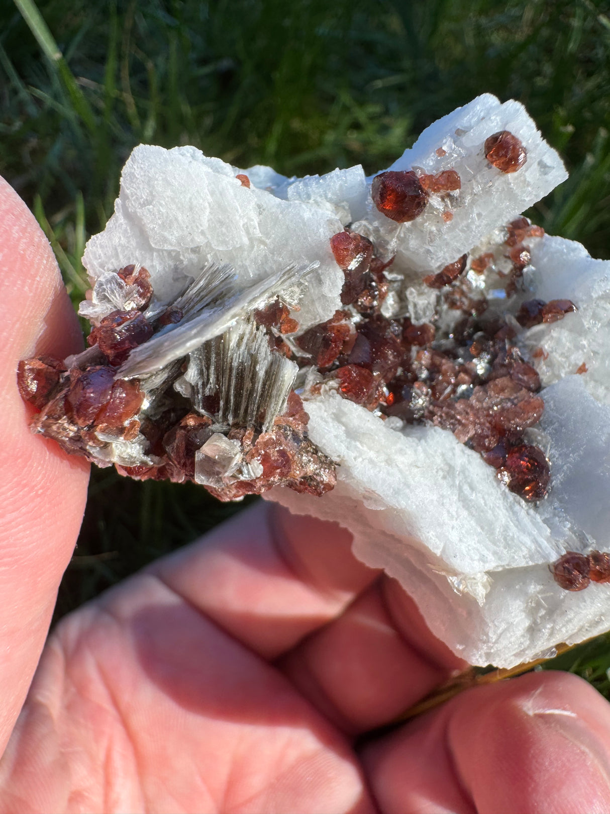 Garnet on Star Mica Specimen - 82g