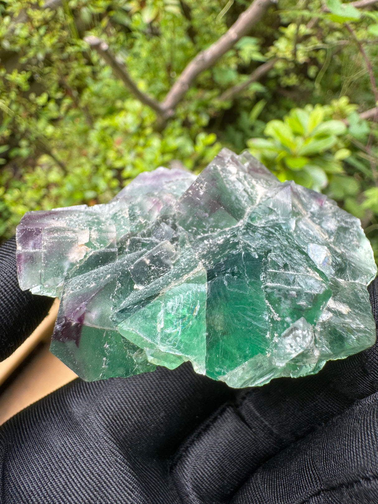 Fluorite Specimen - 153g