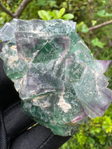 Fluorite Specimen - 153g