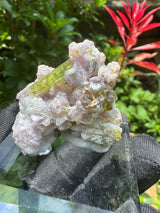 Watermelon Tourmaline Specimen - 25g