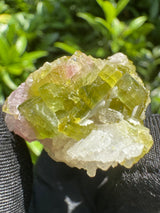 Watermelon Tourmaline Specimen - 23g