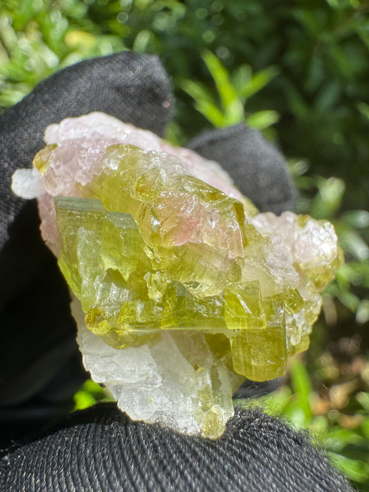 Watermelon Tourmaline Specimen - 23g