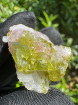 Watermelon Tourmaline Specimen - 23g