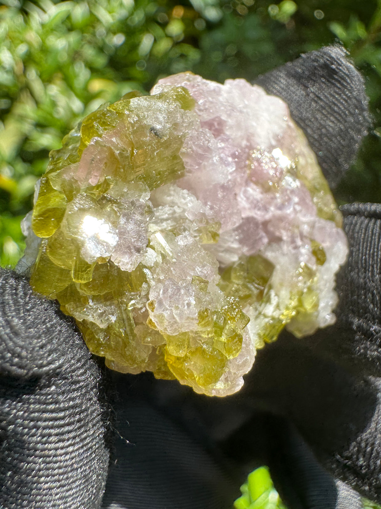 Watermelon Tourmaline Specimen - 23g