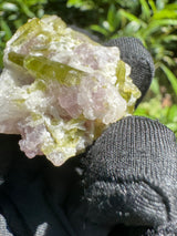 Watermelon Tourmaline Specimen - 35g