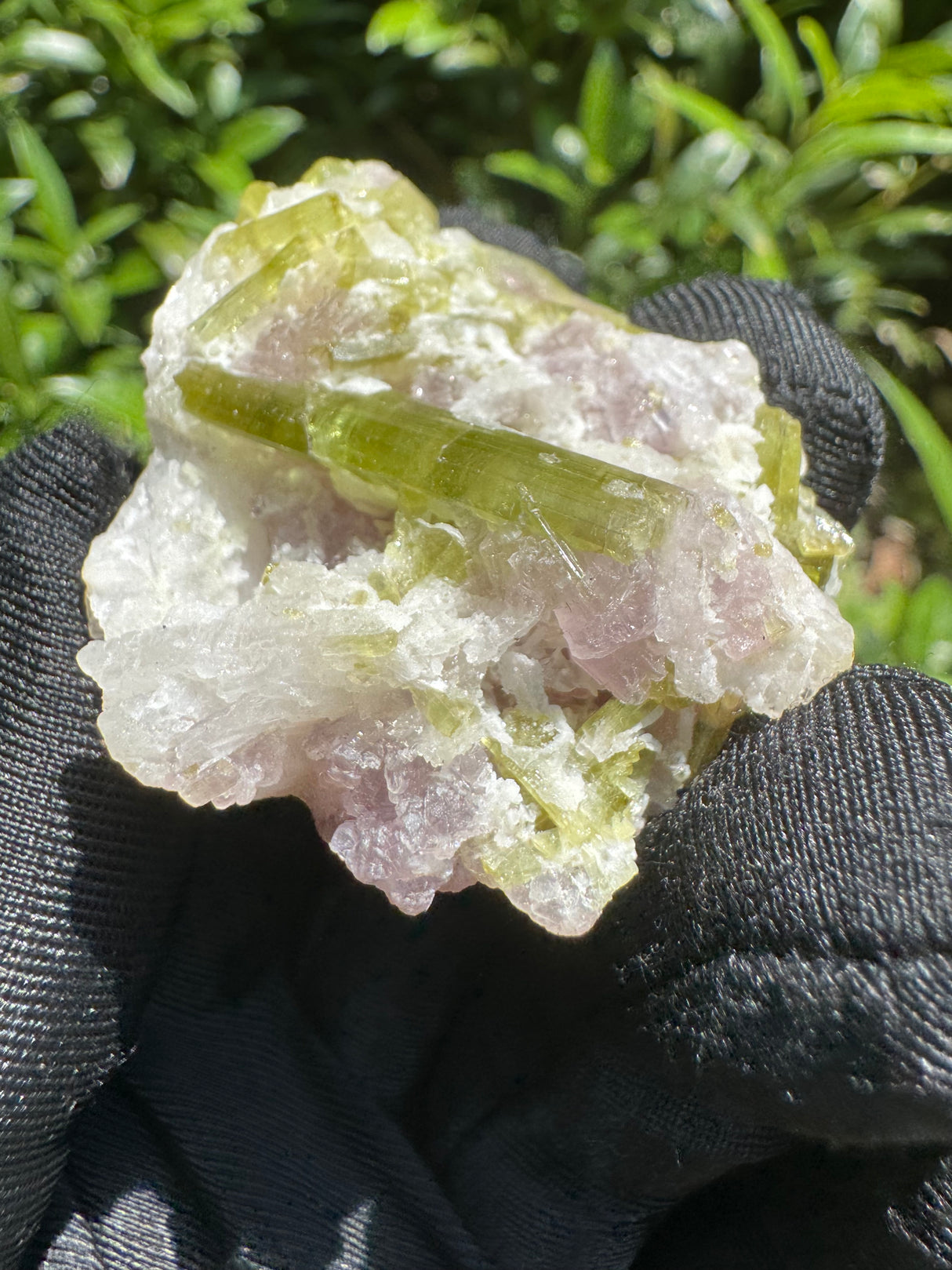 Watermelon Tourmaline Specimen - 25g
