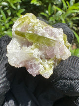 Watermelon Tourmaline Specimen - 35g