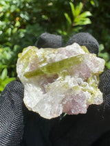 Watermelon Tourmaline Specimen - 25g