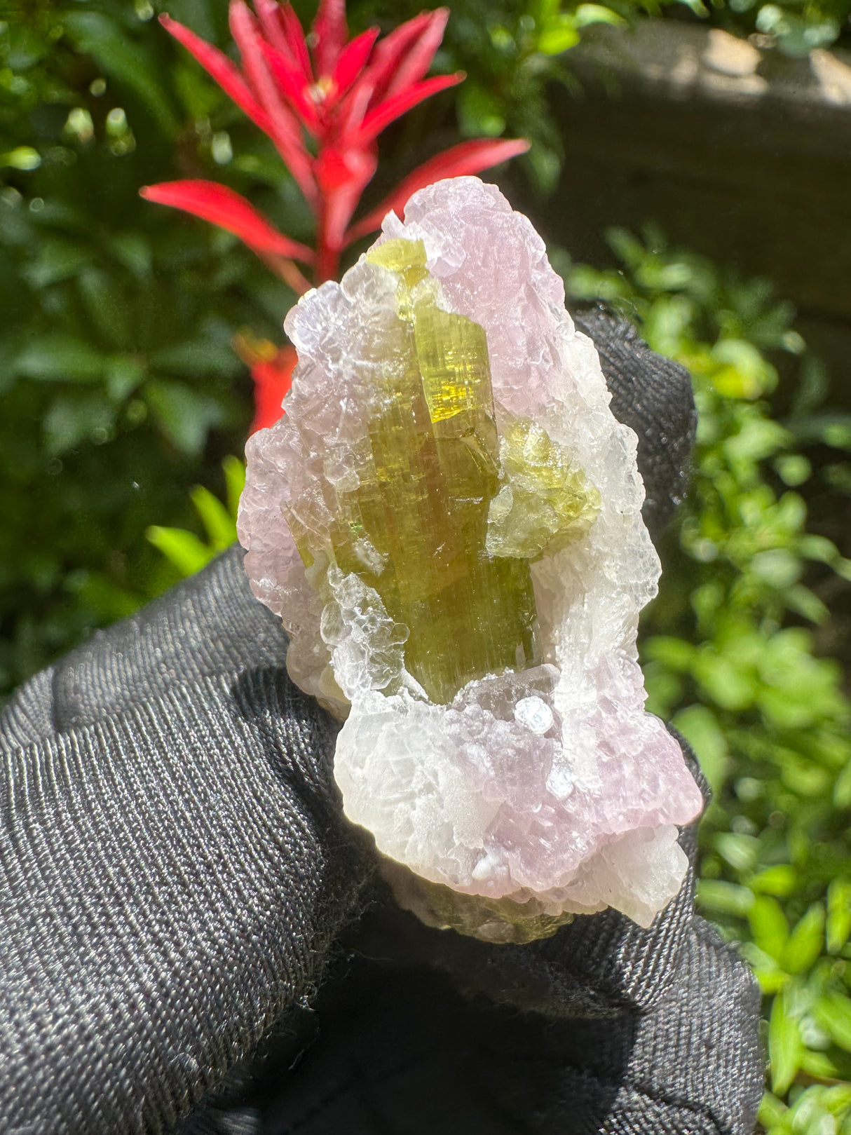Watermelon Tourmaline Specimen - 18g