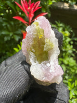 Watermelon Tourmaline Specimen - 18g