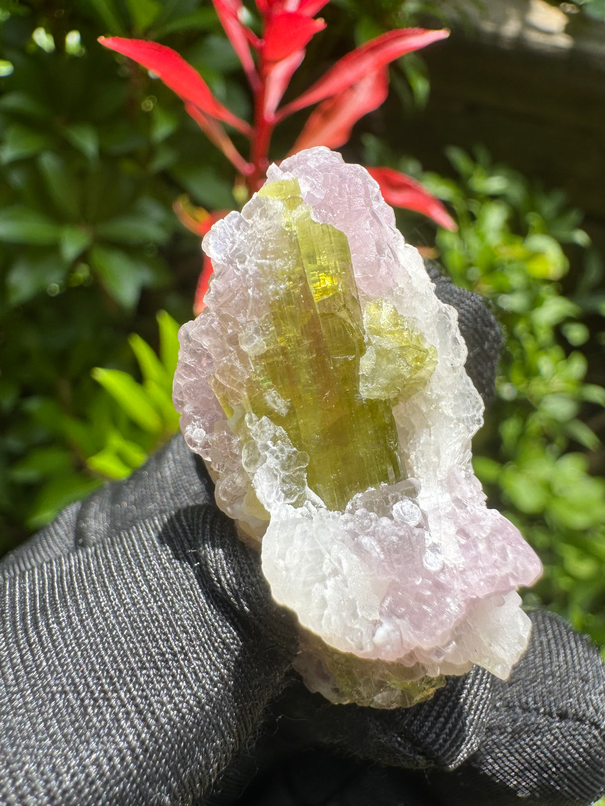Watermelon Tourmaline Specimen - 18g