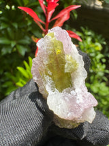 Watermelon Tourmaline Specimen - 18g