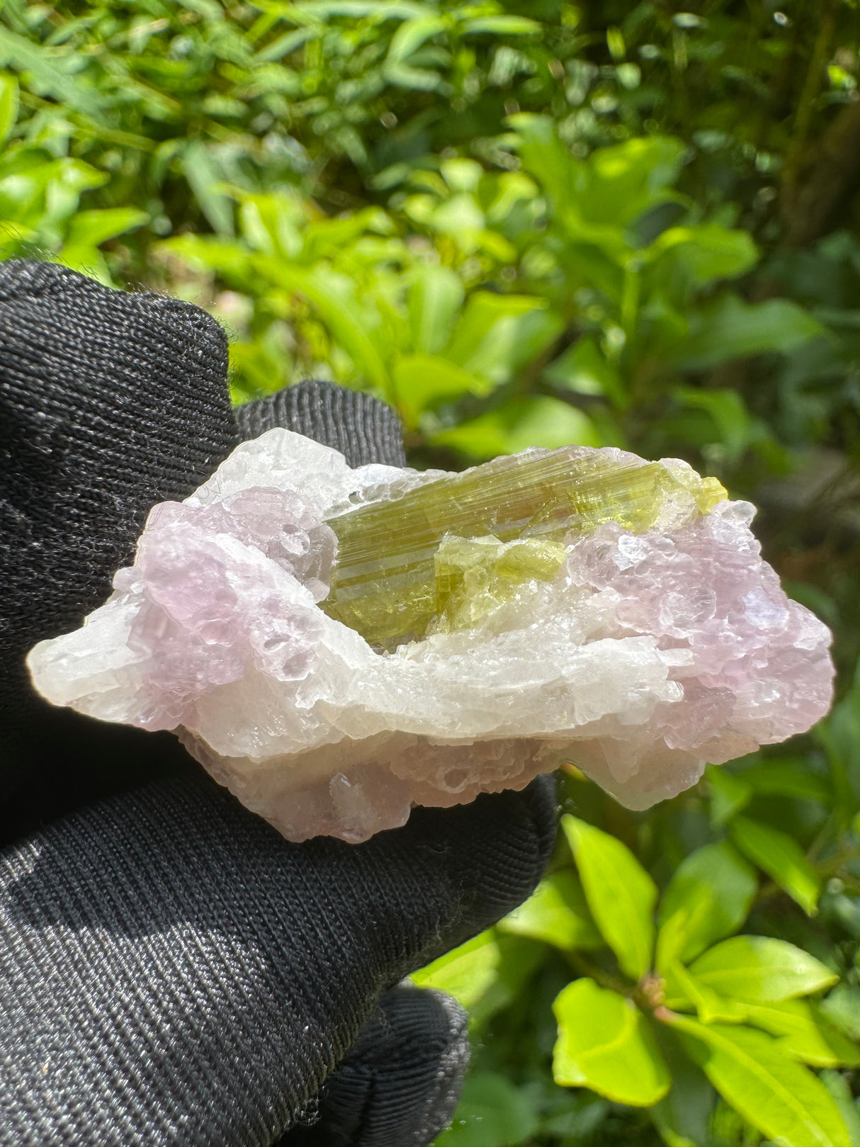 Watermelon Tourmaline Specimen - 18g