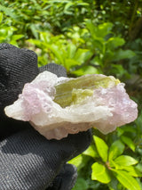 Watermelon Tourmaline Specimen - 18g