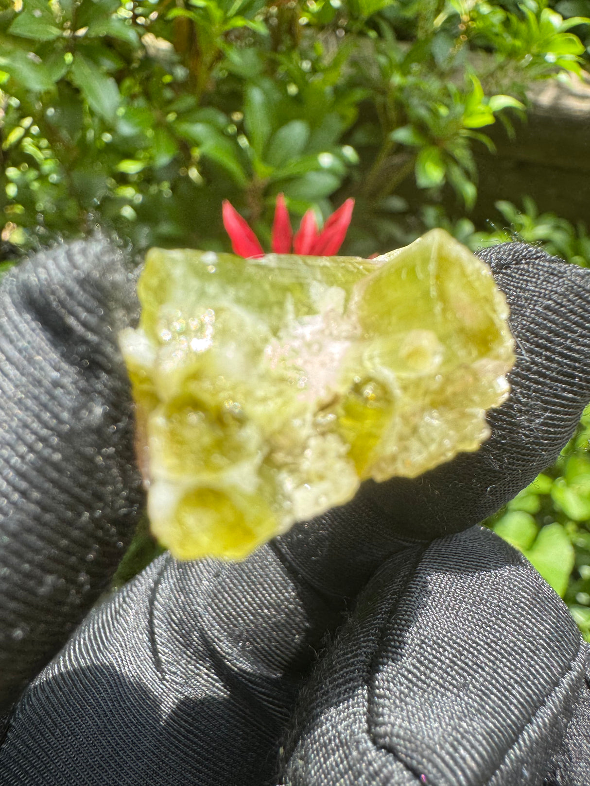 Watermelon Tourmaline Specimen - 9g