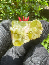 Watermelon Tourmaline Specimen - 9g