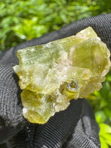 Watermelon Tourmaline Specimen - 9g