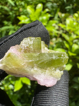 Watermelon Tourmaline Specimen - 17g