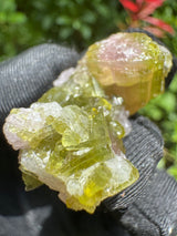Watermelon Tourmaline Specimen - 18g