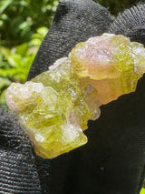 Watermelon Tourmaline Specimen - 18g