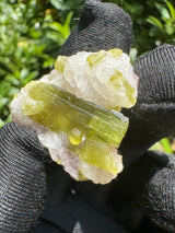 Watermelon Tourmaline Specimen - 12g