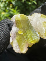 Watermelon Tourmaline Specimen - 12g