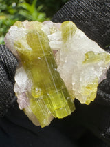 Watermelon Tourmaline Specimen - 12g