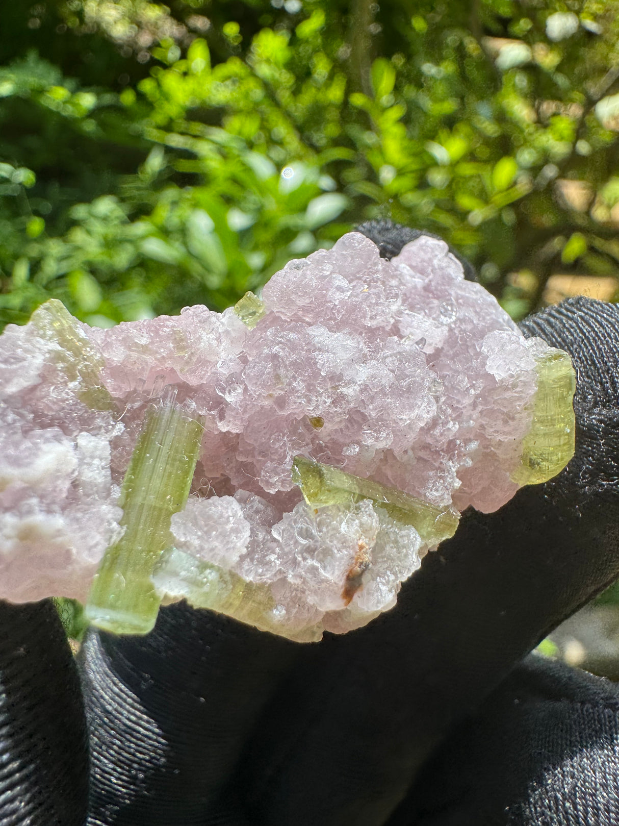 Watermelon Tourmaline Specimen - 24g