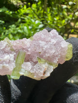 Watermelon Tourmaline Specimen - 24g
