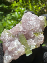 Watermelon Tourmaline Specimen - 24g