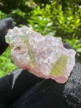 Watermelon Tourmaline Specimen - 24g