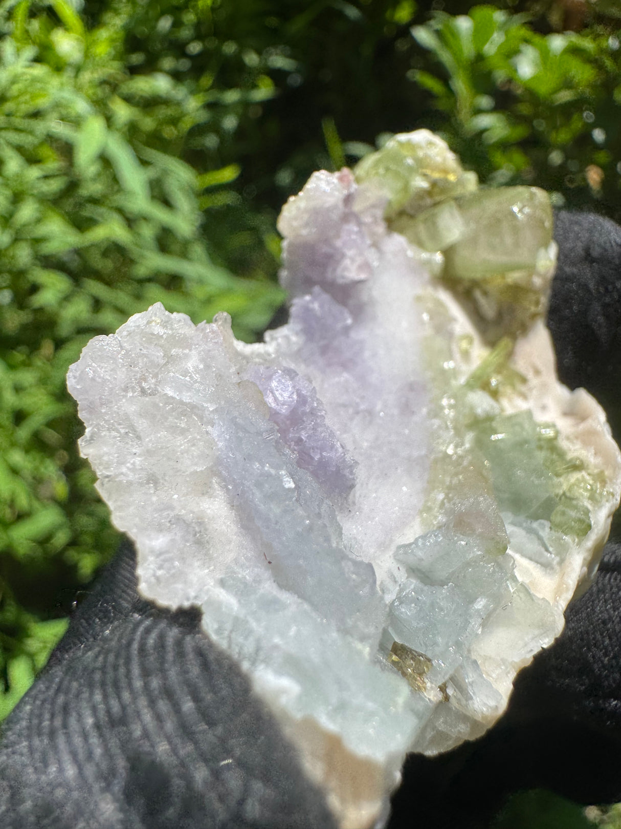 Watermelon Tourmaline Specimen - 24g