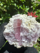 Pink Tourmaline Specimen - 100g