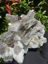 Garnet on Star Mica Specimen - 669g
