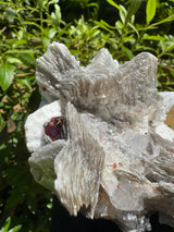 Garnet on Star Mica Specimen - 669g