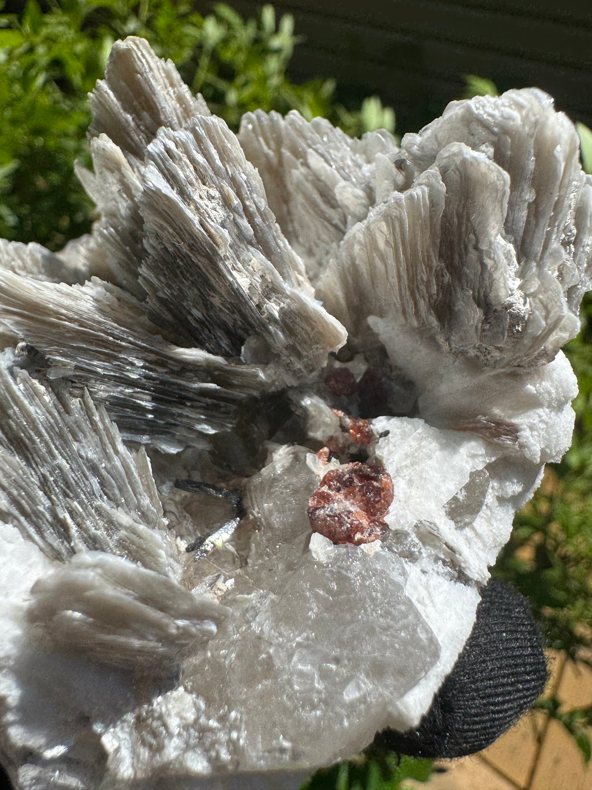 Garnet on Star Mica Specimen - 669g