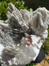 Garnet on Star Mica Specimen - 669g