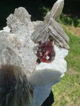 Garnet on Star Mica Specimen - 669g