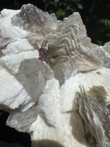 Garnet on Star Mica Specimen - 669g