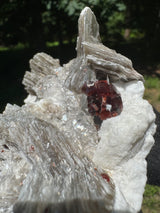 Garnet on Star Mica Specimen - 669g