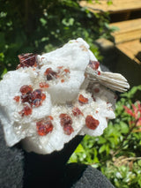 Garnet on Star Mica Specimen - 49g