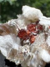 Garnet on Star Mica Specimen - 38g