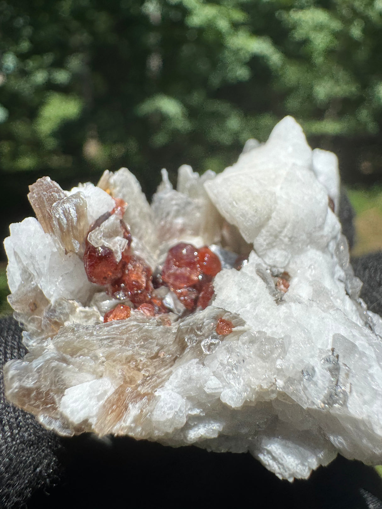 Garnet on Star Mica Specimen - 38g