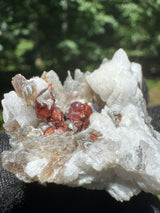 Garnet on Star Mica Specimen - 38g