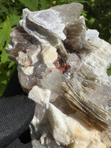Garnet on Star Mica Specimen - 507g