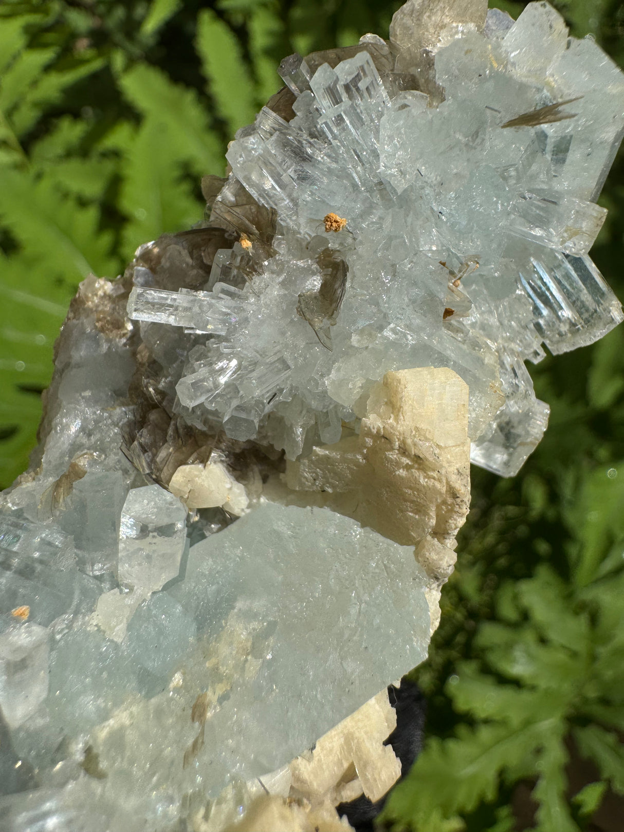 Museum-Grade Aquamarine Specimen -191g